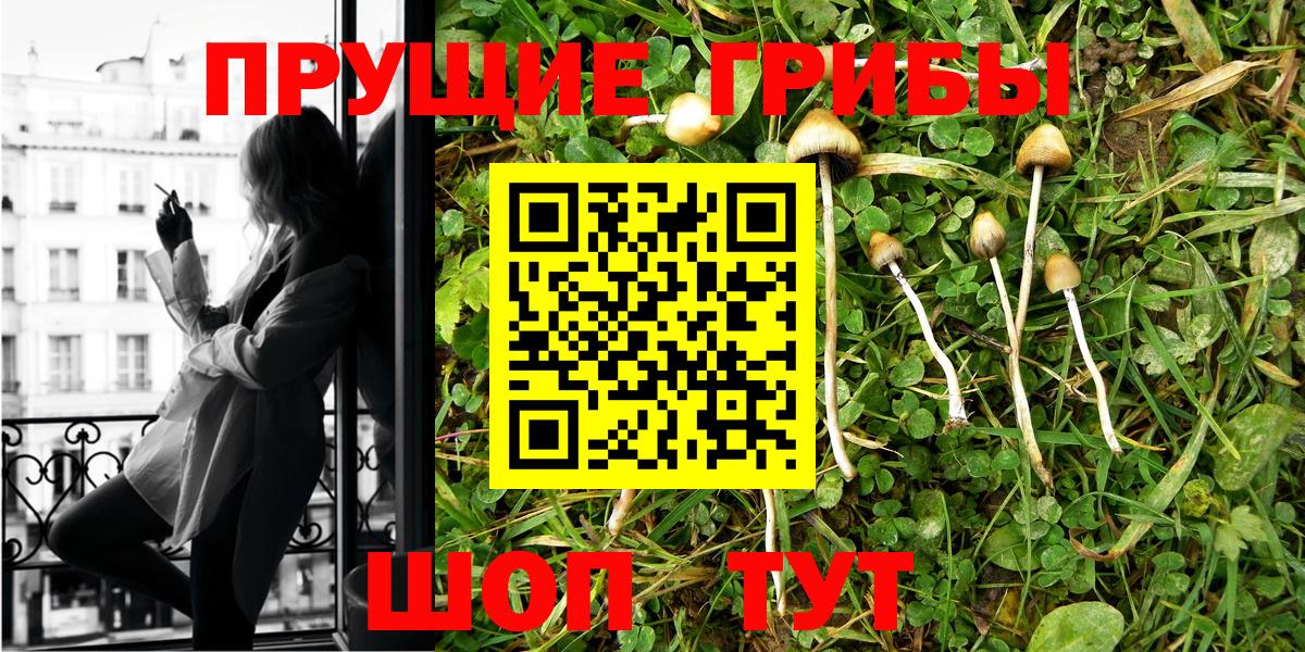 Псилоцибиновые грибы Psilocybine cubensis  Вход с VPN  Галлюциногенные грибы Psilocybe  сколько стоит  Урай 